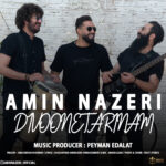 دانلود آهنگ امین ناظری دیوونتم